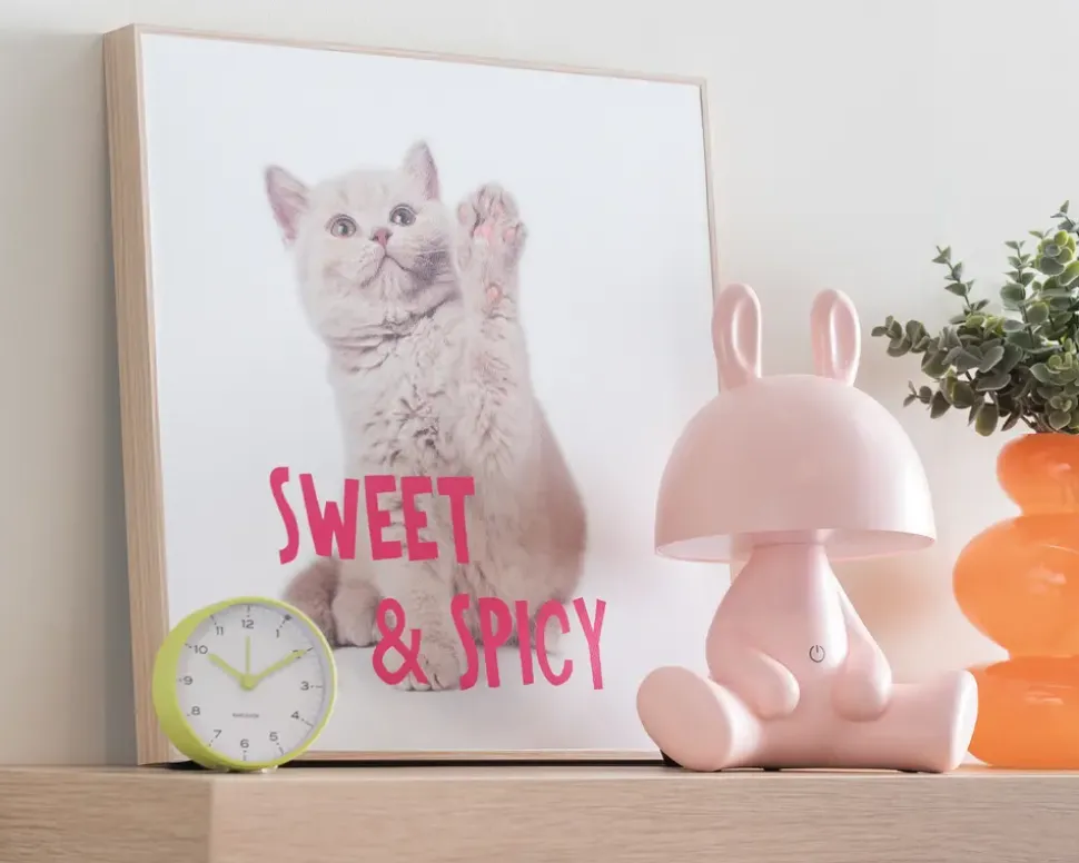 Billede kitten - Sweet & spicy