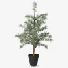 Cedertræ m/potte plastik H.60 cm