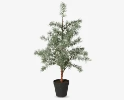 Cedertræ m/potte plastik H.60 cm