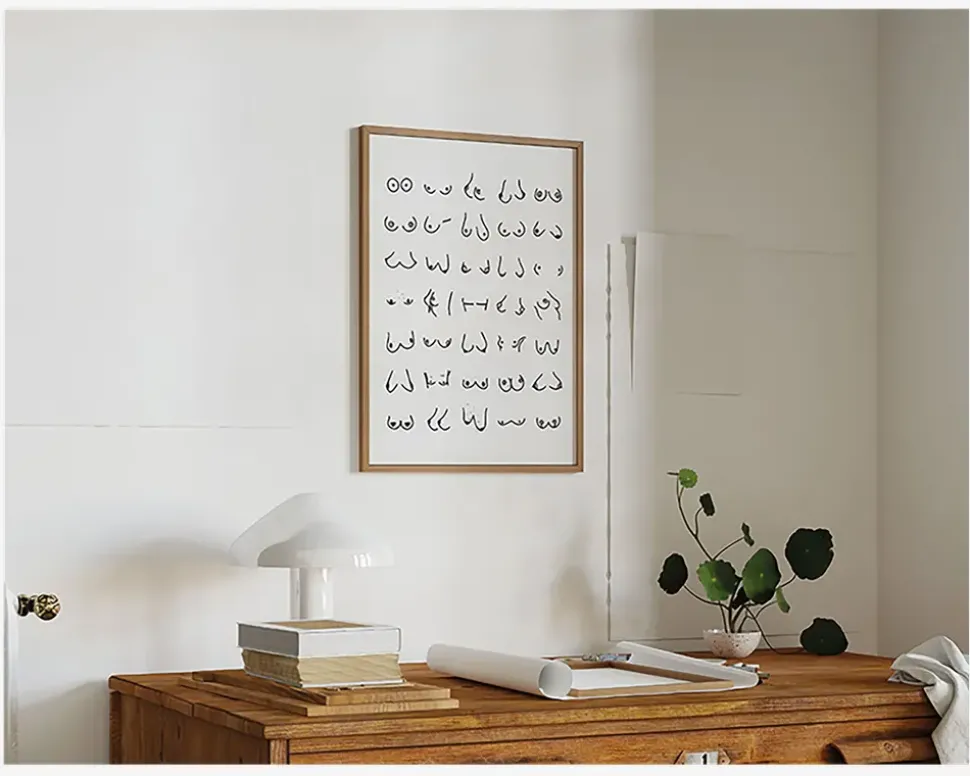 Plakat Boobies