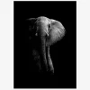 Plakat Elefant