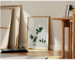 Plakat Eucalyptus