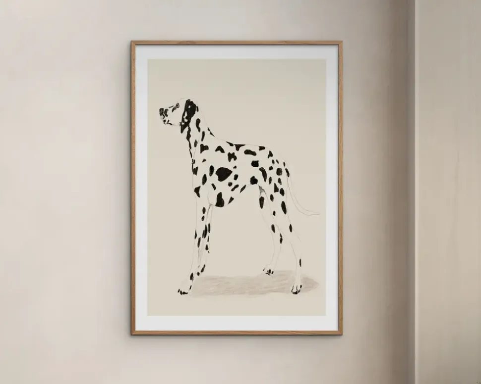 Plakat Jenny Liz Dalmation