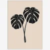 Plakat Monstera Deliciosa