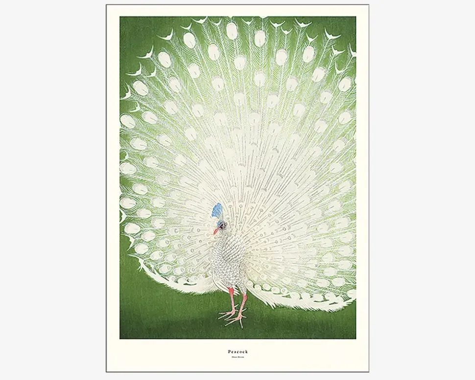 Plakat Peacock -A.P. Atelier