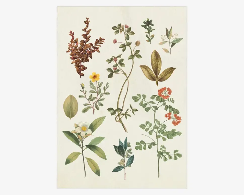 Plakat Victorian Garden III A5