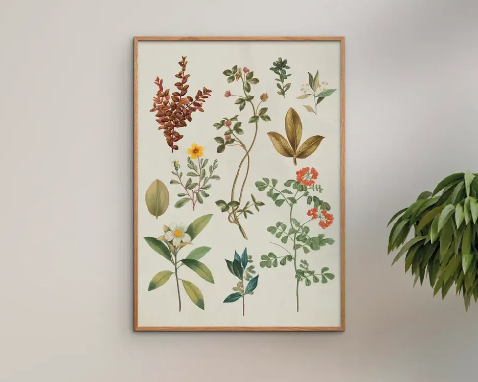 Plakat Victorian Garden III A5
