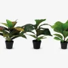 Plante kunstig 38 cm ass.