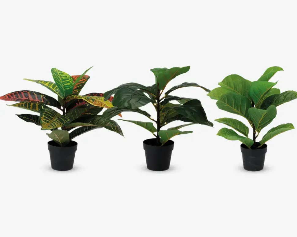 Plante kunstig 38 cm ass.