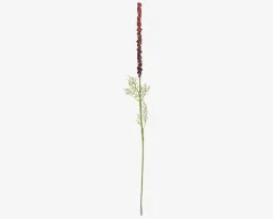 Stilk Ambrosia Grøn/Rød H.50cm