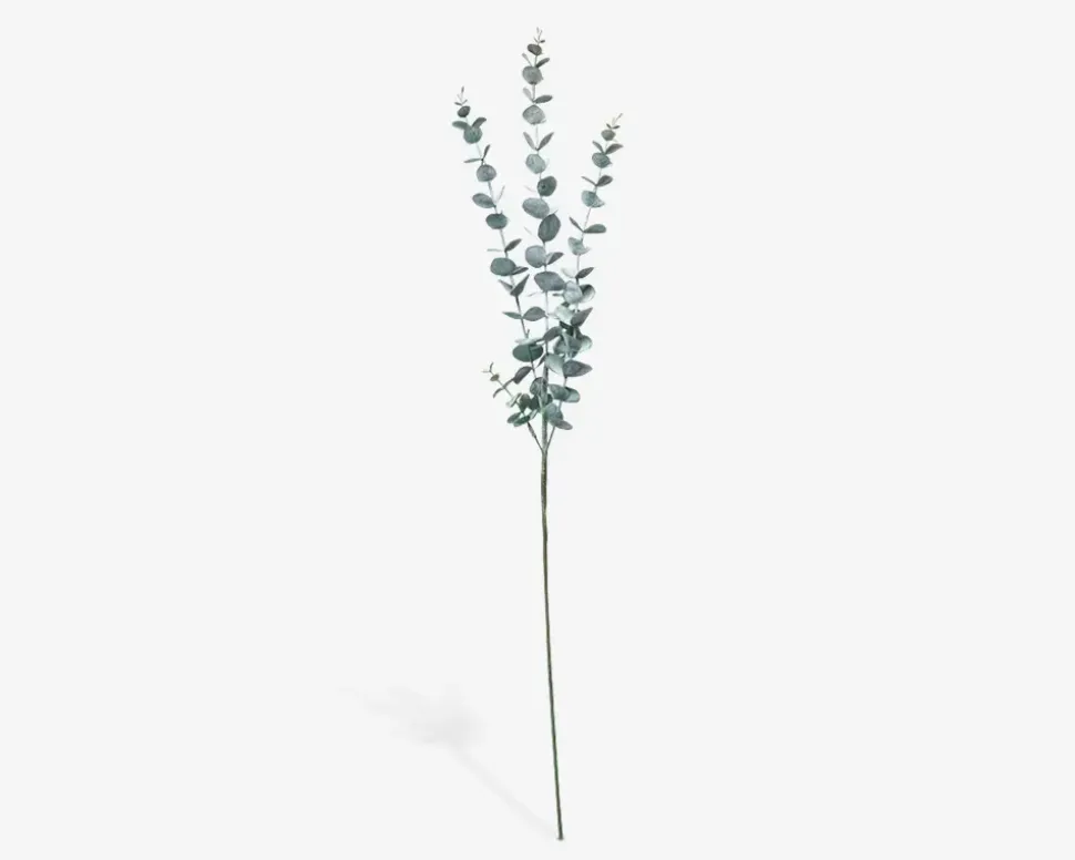 Stilk Eukalyptus Grøn H.76 cm