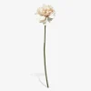 Stilk Georgine Cream H.66 cm