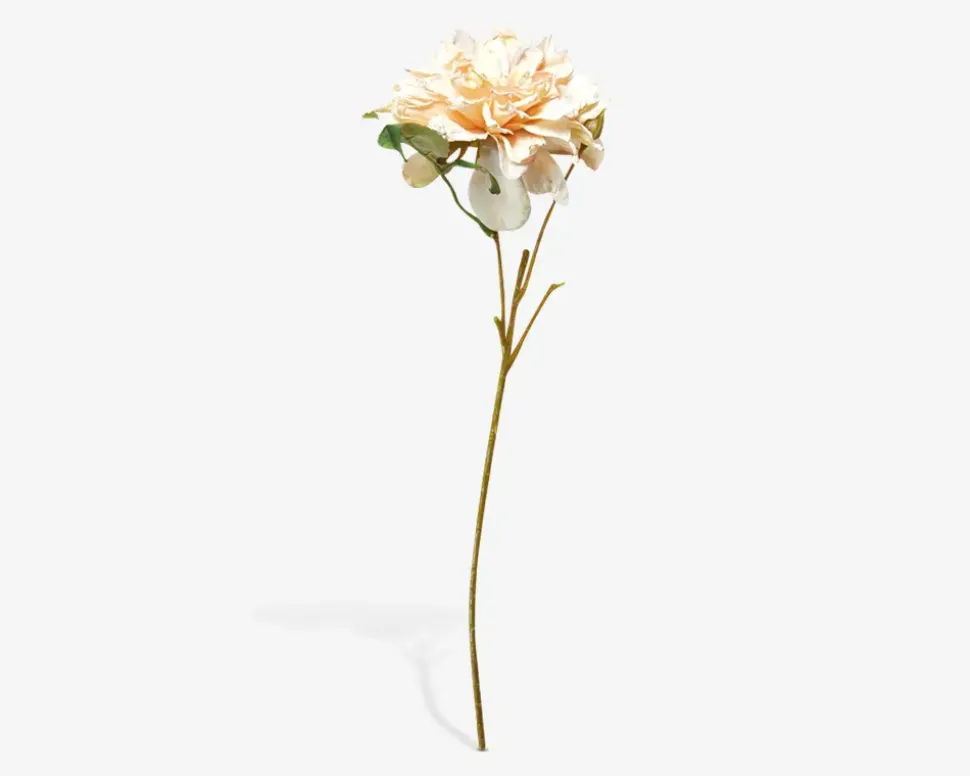 Stilk Georgine Creme H.45 cm