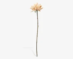 Stilk Georgine Creme H.50 cm