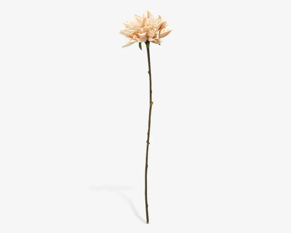 Stilk Georgine Creme H.50 cm