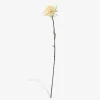 Stilk Krysantemum Hvid H.75 cm
