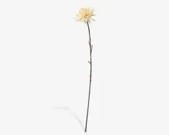 Stilk Krysantemum Hvid H.75 cm