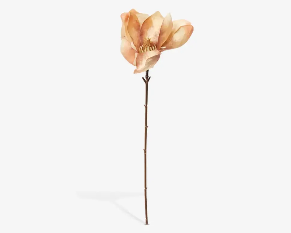 Stilk Magnolia Beige H.50 cm