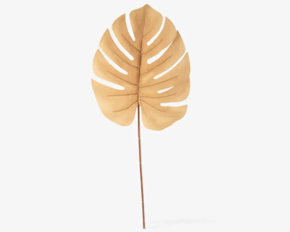 Stilk Monstera sand H.61 cm
