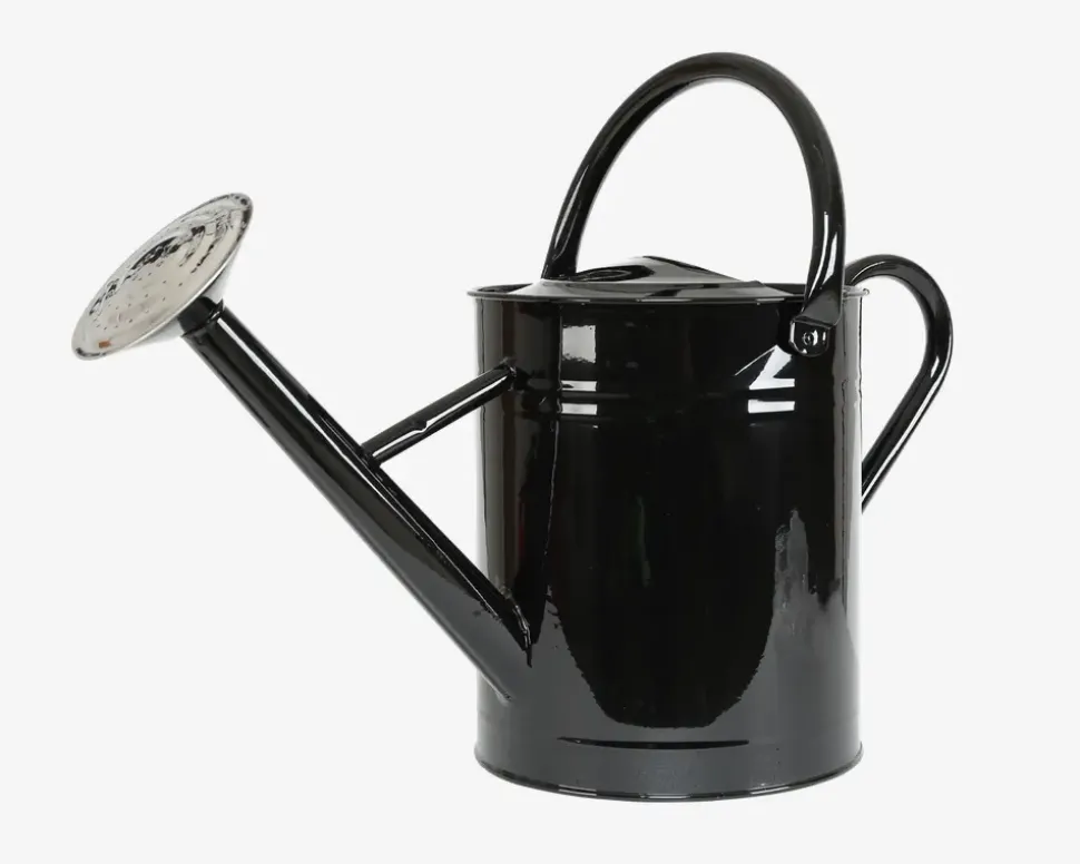 Vandkande Sort 8L